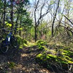 Profile Picture of Michael McCaughan (@loamranger2020) on Instagram