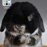 Profile Picture of Nicholas James Kohler (@njk1903) on Instagram