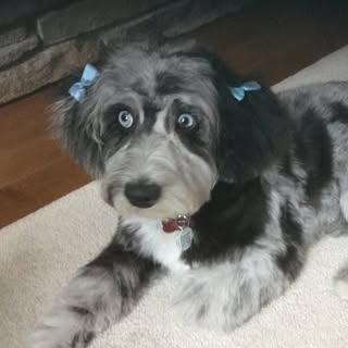 Profile Picture of Nancy Davey (@nancydavey_) on Instagram