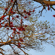 Profile Picture of Ayesha Zaman Pollobi (@AyeshazamanPollobi-ox6kw) on Youtube