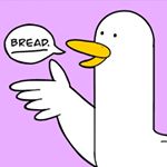 Profile Picture of Daniel (@demandano) on Instagram