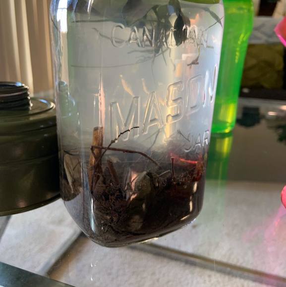 Profile Picture of Keaton Kanter (@keatonkanter) on Poshmark