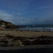 Profile Picture of Sean Burrows (@seanburrows9339) on Youtube