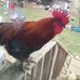 Profile Picture of Nell Manning (@nell.manning.376) on Facebook