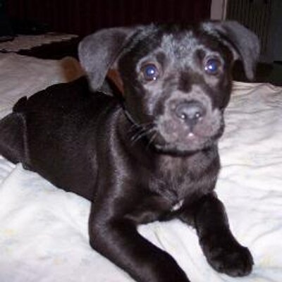 Paula C Hagins - Twitter Profile Picture of Paula C Hagins (@pchagins) on Twitter