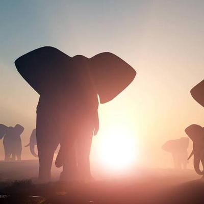 Profile Picture of Jody Klemm (@mundayjody) on Twitter