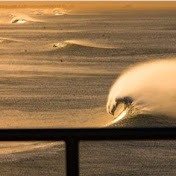 Profile Picture of Jonathan Feit (@icrackdyt9734) on Youtube