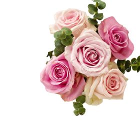 Profile Picture of Beverly Lesko (@beverlylesko) on Pinterest