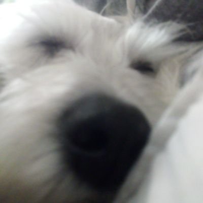 Profile Picture of Alexa!!!! (@AlexaMedrano) on Twitter