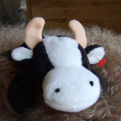 Profile Picture of Sam Mason (@cows4ever) on Twitter