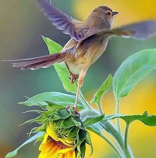 Profile Picture of John Gump (@john.gump.125) on Facebook