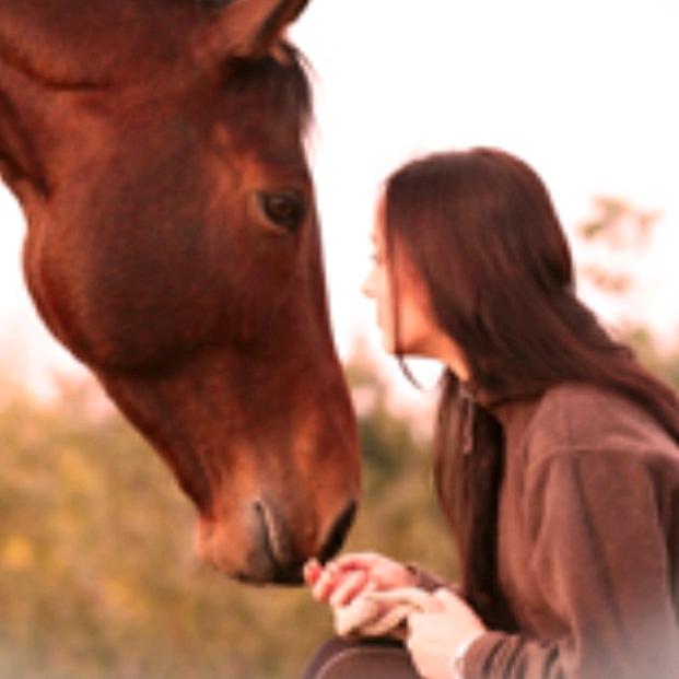 amy.kuster - Tiktok Profile Picture of amy.kuster (@@amy_leyla_mit_pferde) on Tiktok