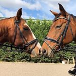 Profile Picture of Keeley Sutton Fan Page😍❤️ (@keeleysuttonfanpage) on Instagram