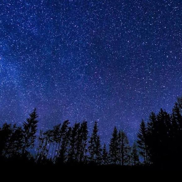 Craig Lippi - Poshmark Profile Picture of Craig Lippi (@lippicraig) on Poshmark