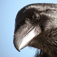 Profile Picture of John Duperry (@john-duperry-1) on Quora