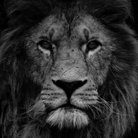 Profile Picture of Eli Calderon (@eli-calderon-1) on Quora