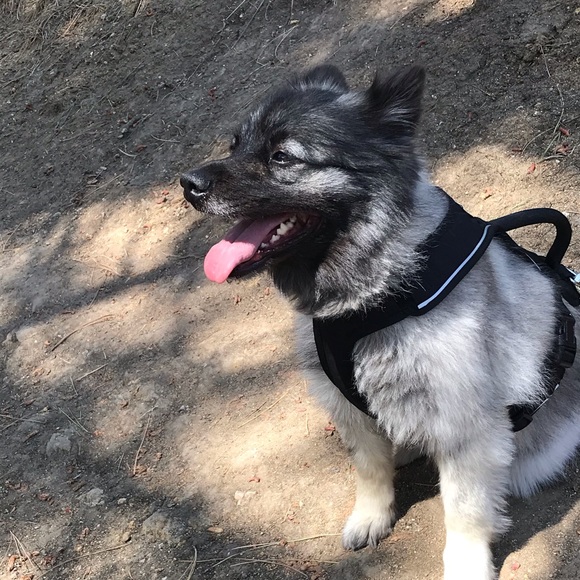 Profile Picture of Joshua Palacios (@palaciosjosh14) on Poshmark