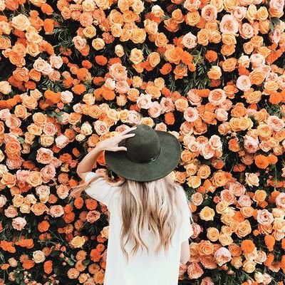 Profile Picture of Ally (@Daddy24529) on Twitter