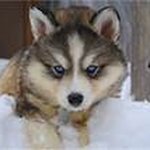 Profile Picture of Alayna Clark (@alayna_clark2404) on Instagram