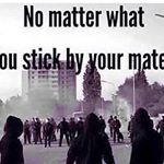 Profile Picture of 👊🏻👍🏻Mark👍🏻👊🏻 (@mark_todd_05) on Instagram