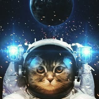 Profile Picture of Erik Aranda (@aranda.erik) on Instagram