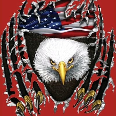 Profile Picture of Caleb Holloway (@curlysmallsiii) on Twitter
