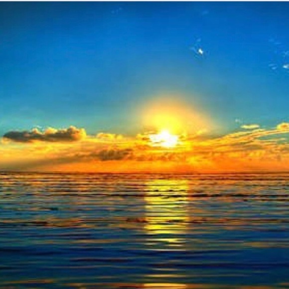 Amira Khalil - Poshmark Profile Picture of Amira Khalil (@amiraak) on Poshmark