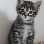 Profile Picture of Letia Mhoore (@letia.mhoore) on Facebook