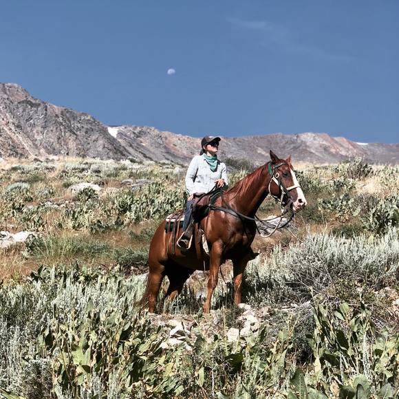 Profile Picture of Becca Holdsworth (@becuhhh) on Poshmark