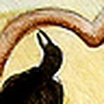 Profile Picture of Amy  Prebble (@Amy Prebble) on Flickr