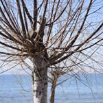 Profile Picture of travel and profit (@peter_kellfur) on Instagram