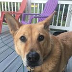 Profile Picture of Charlie Mitchell Cronin (@charliecronin1) on Instagram