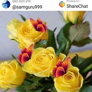 Profile Picture of Kay Singh (@kay.singh.3954) on Facebook