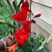 Profile Picture of Tim Dulin (@tim.dulin.161) on Facebook