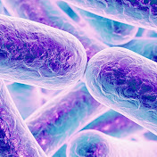 Profile Picture of Sandra Abicht (@sandraabicht2138) on Youtube