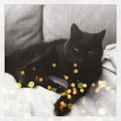 Profile Picture of Laura Walters (@laurawalters8527) on Youtube