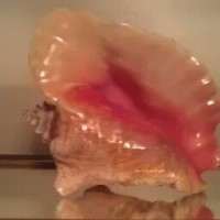 Profile Picture of Daryl Maxwell (@daryl-maxwell-3) on Quora