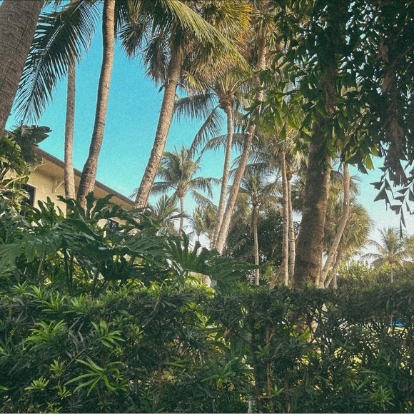 Profile Picture of Tony So umi (@tonisoni135) on Poshmark