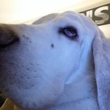 Profile Picture of Randy Ricketts (@rangal615) on Twitter