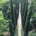 Profile Picture of Scott Gillard (@pekingscott) on Instagram