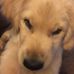 Profile Picture of Andrew Karp (@andrew.karp.79) on Facebook