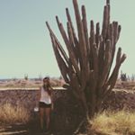 Profile Picture of Allison Pugliese (@allisonpugliese) on Instagram