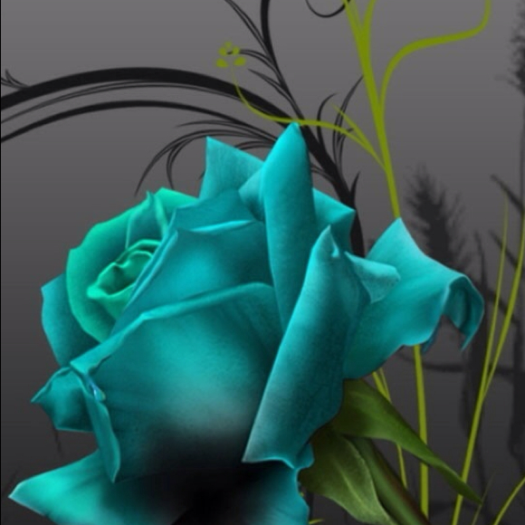 Profile Picture of Andrea Dalsted (@adalsted) on Poshmark