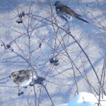 Profile Picture of Lausecker (@lauseckersar) on Instagram