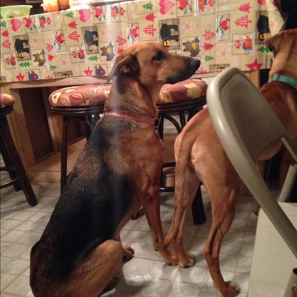 Janelle Koepfer - Poshmark Profile Picture of Janelle Koepfer (@jkoepfef1) on Poshmark