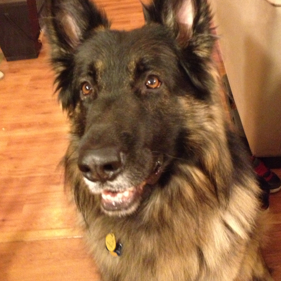 Deb Verney - Poshmark Profile Picture of Deb Verney (@debverne) on Poshmark