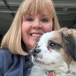 Profile Picture of Julia Burson Boehme (@bursonboehme) on Instagram