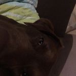 Profile Picture of Michael Gräschke (@michaelgraschke) on Instagram