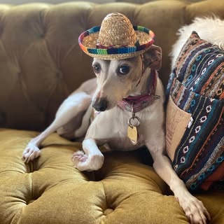 Profile Picture of Benjamin Leingang (@benjaminleingang) on Instagram