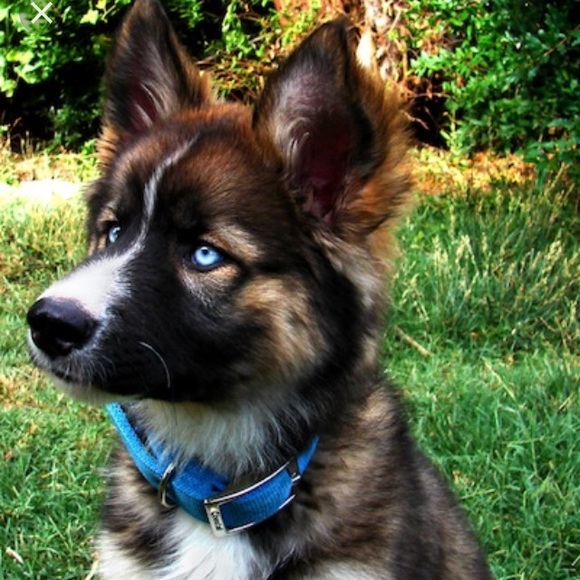 Cailey Marcks - Poshmark Profile Picture of Cailey Marcks (@dancecai) on Poshmark